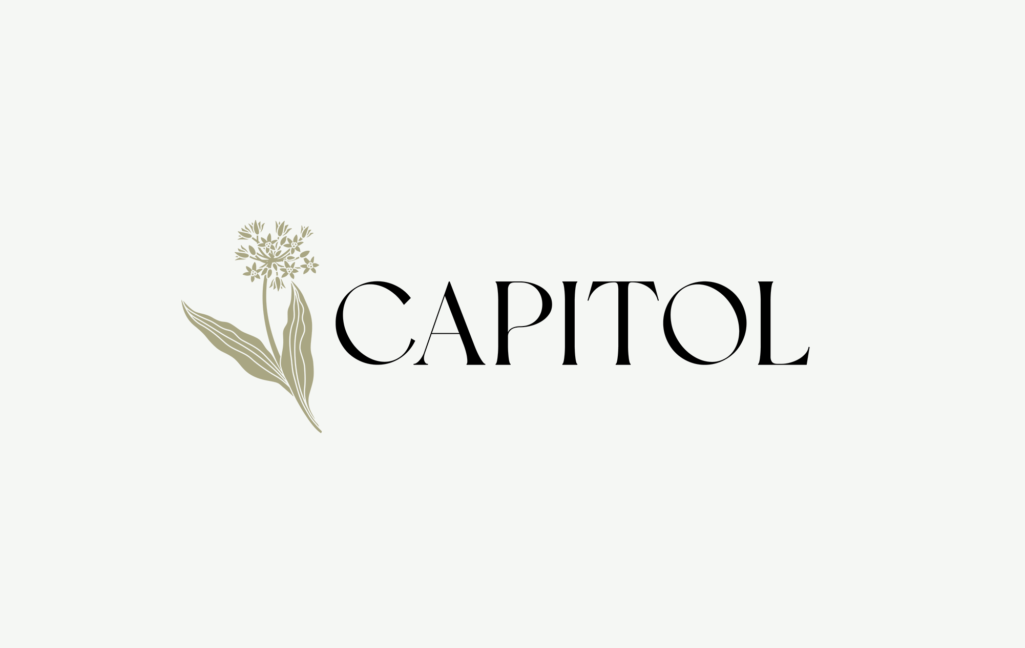Capitol Restaurant Bern Logo